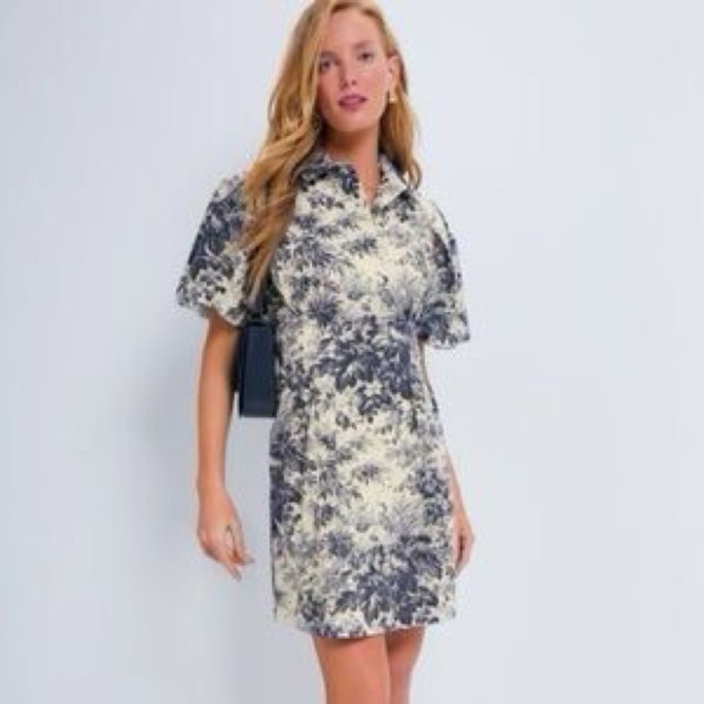 Tuckernuck Short-Sleeve Floral Mini Dress in Ivory and Navy